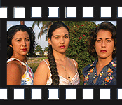 Foto of Film Code Name: Butterflies